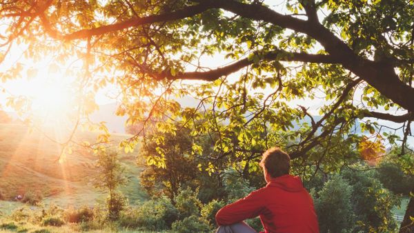 Beboer Sidder Under Træ