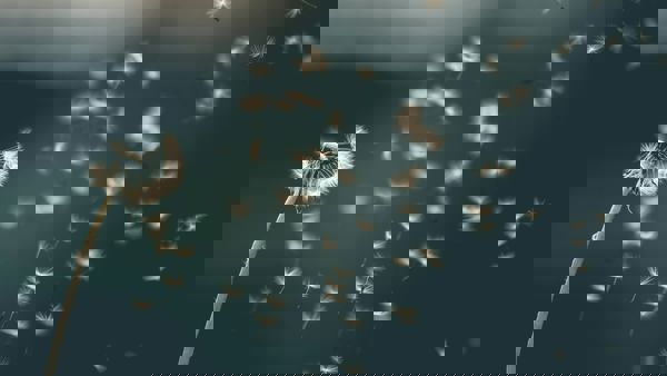 Saad Chaudhry Ynm4kstg78i Unsplash